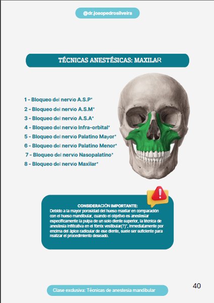 Maxilar