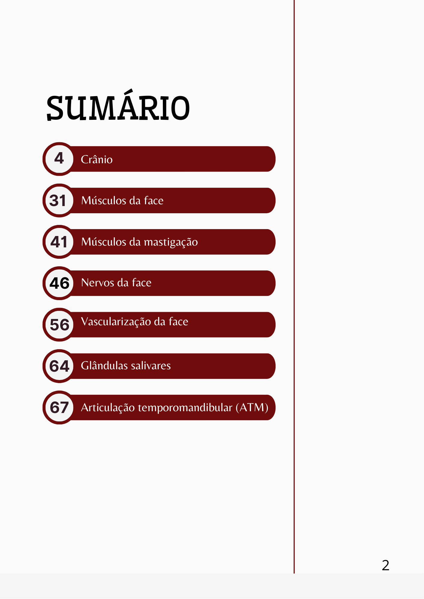 Anatomia pág. 2
