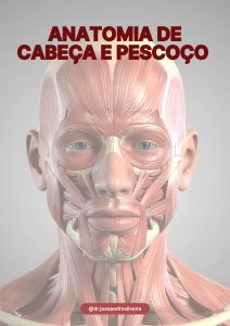 Anatomia de Cabeça e Pescoço