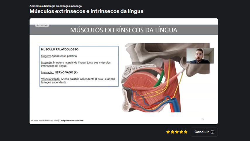 Conteúdos da plataforma do Buco Approve